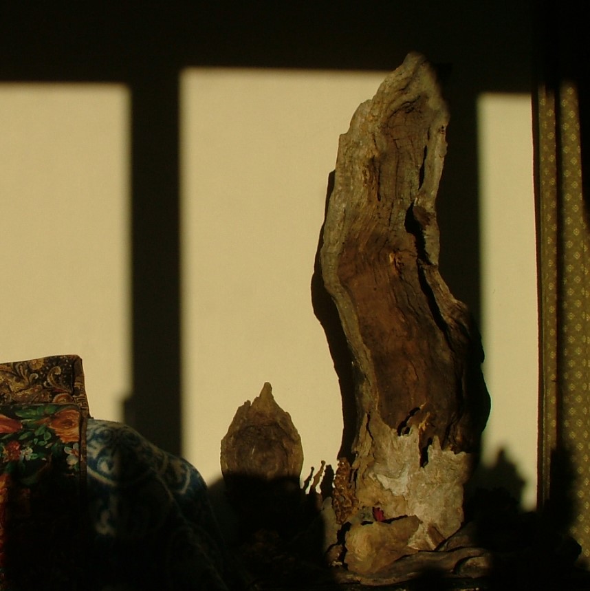 hollow wood with light inside